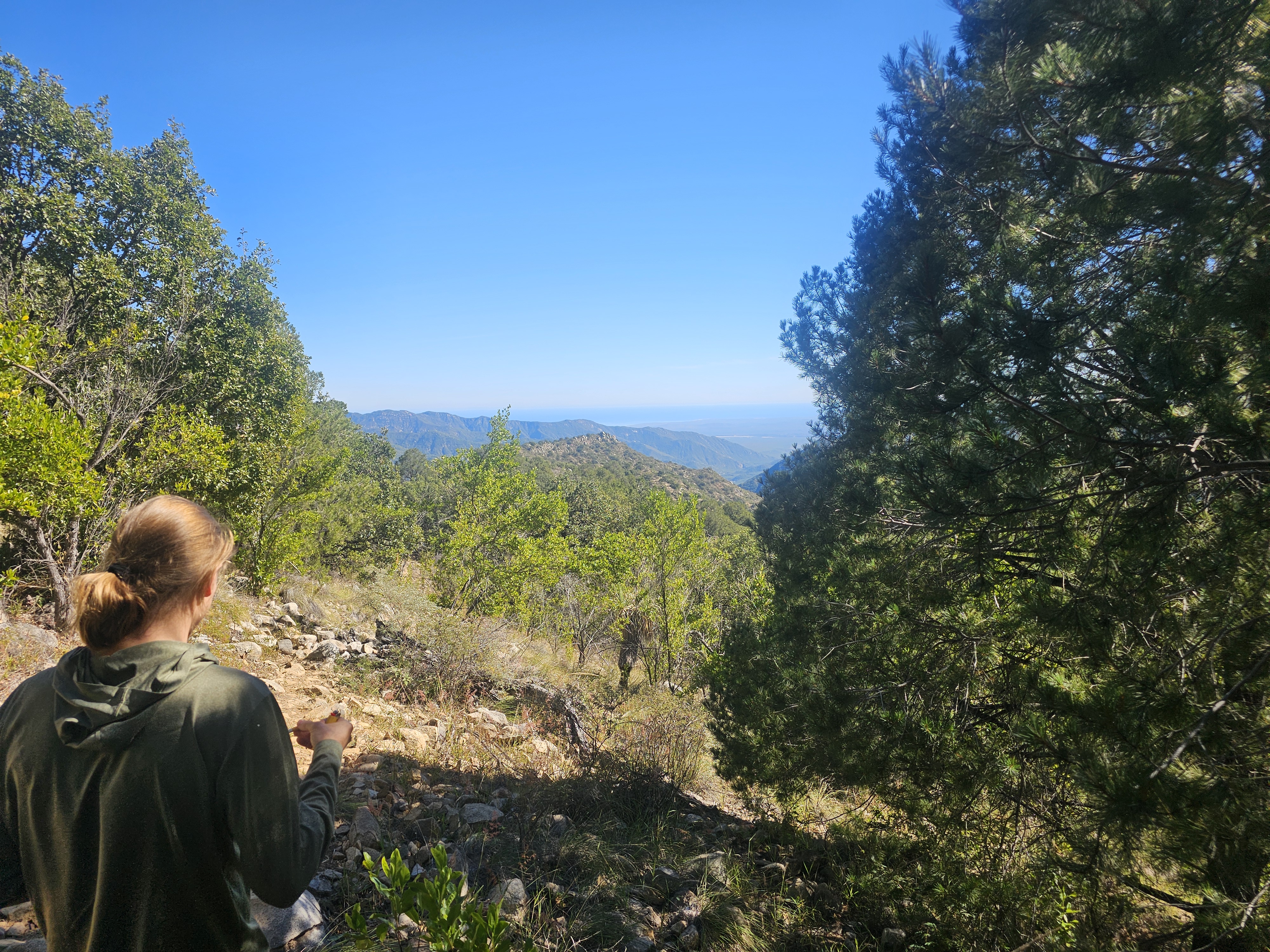 Sierra Laguna Biosfera